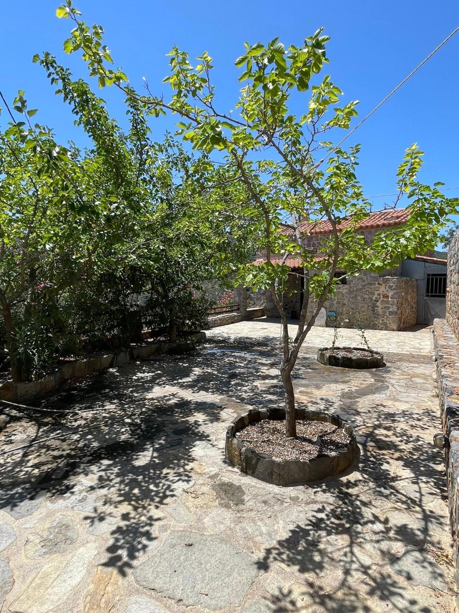 Guesthousekamara Монемвазия Экстерьер фото